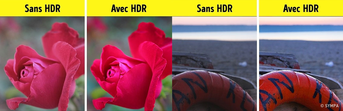Meilleures photos