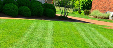 Jardinage