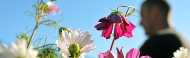 Jardinage