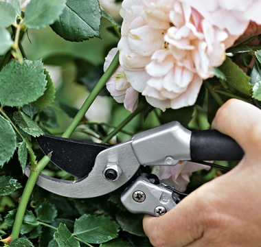 Jardinage