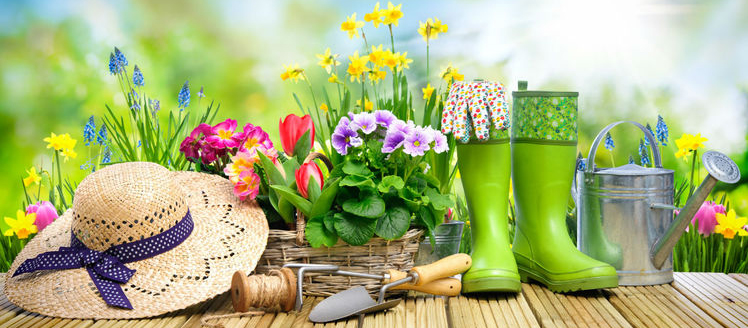 Jardinage