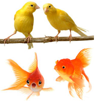 Spécial animalerie